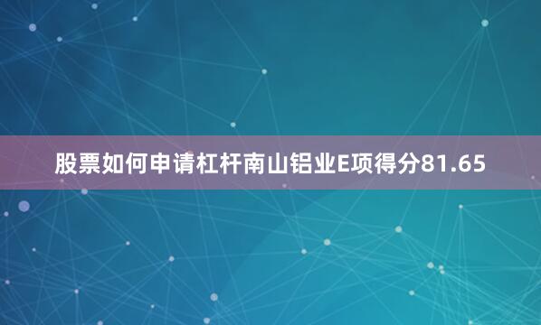 股票如何申请杠杆南山铝业E项得分81.65