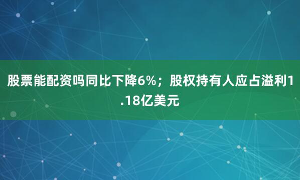 股票能配资吗同比下降6%；股权持有人应占溢利1.18亿美元