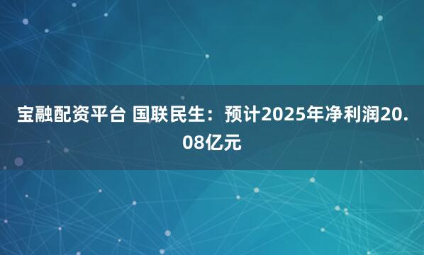 宝融配资平台 国联民生：预计2025年净利润20.08亿元